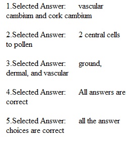 Quiz 4